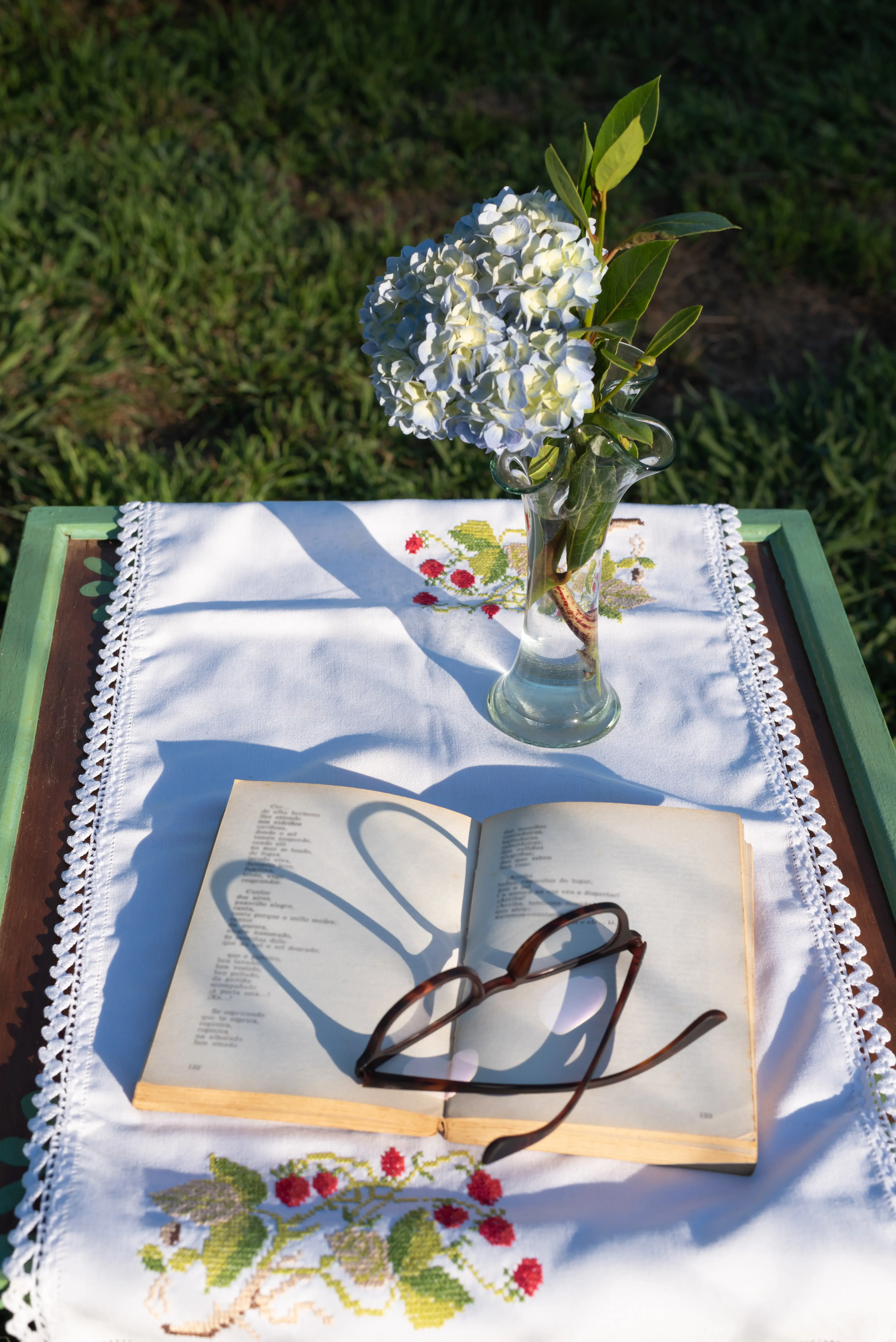 Schatten einer Brille auf einem aufgeschlagenen Buch bei Sonnenuntergang im Garten.